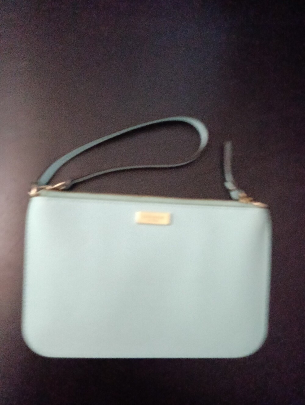 Kate Spade NY Newbury Lane Lolly  Classic Mint/Light Blue Wristlet